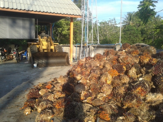 รถตัก CAT  รุ่น  914 G รถลานปาล์ม พร้อมใช้งาน  เอกสารใบอินวอย์