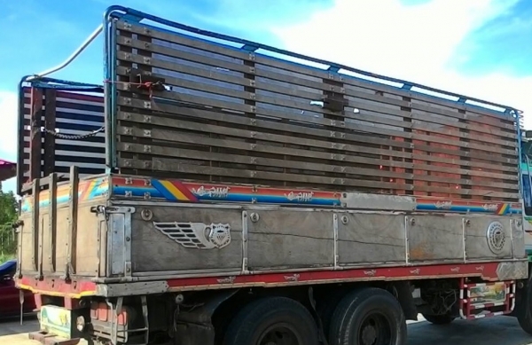 ขายถูกกระบะไม้ถอดจาก เดก้า FVM33M T