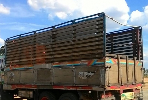 ขายแล้ว