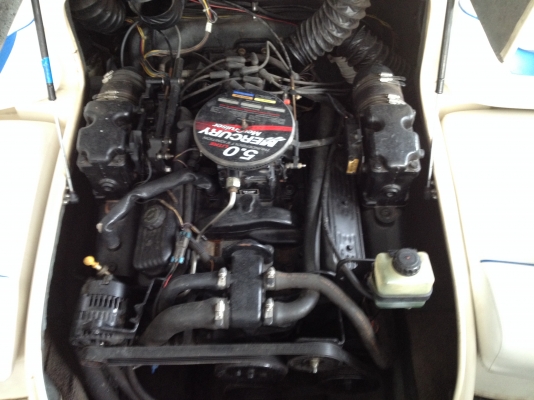 ขาย Bayliner ขนาด 20.5 ฟุต เครื่อง 5.0 แรงประหยัด