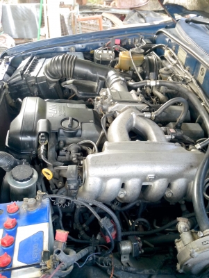 ขาย Tiger 4WD ขาย Tiger 4WD