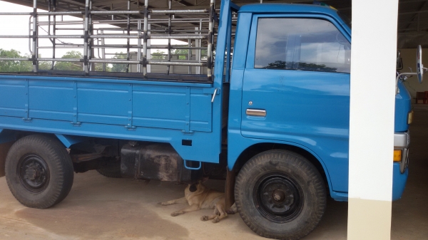 ขายสี่ล้อกลางอีซูสุ74แรงพร้อมใช้ราคา85000บาท