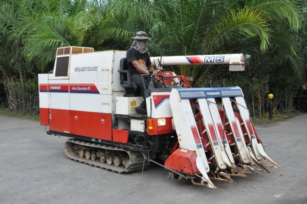 ขายรถเกี่ยว นวดข้าวYANMAR M5 ดีเซล3สูบ สวยเดิมจากญี่ปุ่น 165,000เท่านั้น!!