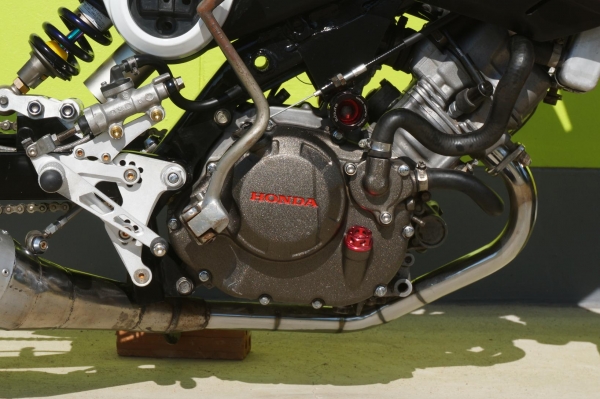 ขาย HONDA MSX 125 CC งานแปลง จากรถรุ่น HONDA SONIC เอกสารทะเบียนพร้อมโอน