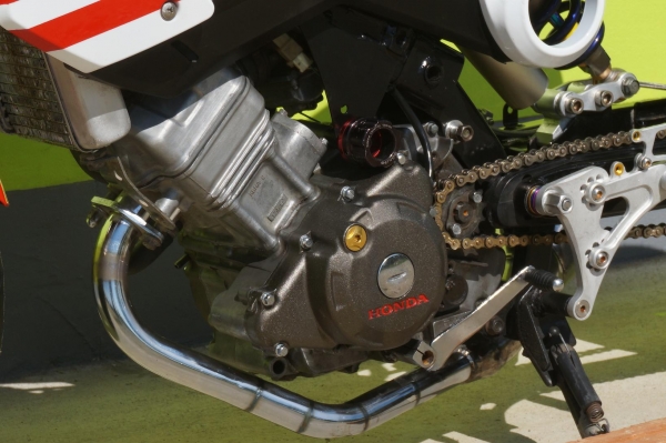 ขาย HONDA MSX 125 CC งานแปลง จากรถรุ่น HONDA SONIC เอกสารทะเบียนพร้อมโอนครบ ขาย HONDA MSX 125 CC งานแปลง จากรถรุ่น HONDA SONIC เอกสารทะเบียนพร้อมโอนครบ