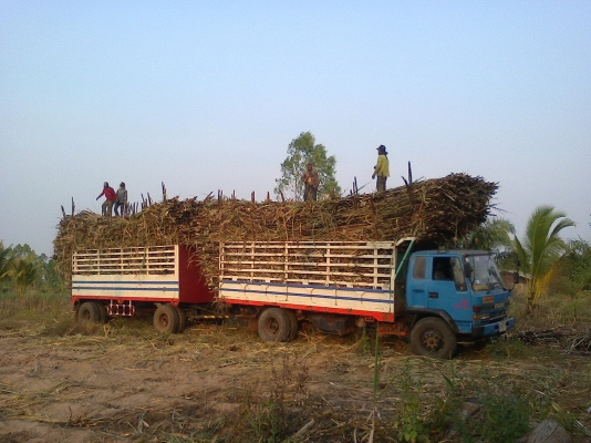 ขายด่วนตามสภาพ