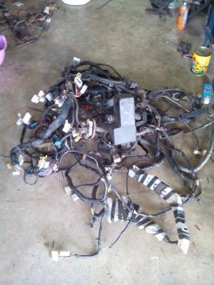 ขายอระไหร่ กาแล้น อี33 ครับ