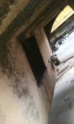 รถ บด. 11 ล้อ  ( ขายตามสภาพ. )     สนใจติดต่อ  081 - 6079515