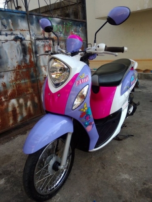 New Fino Fi ลาย Fashion ลายใหม่ล่าสุด สวยๆราคาถูกครับ