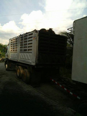 ISUZU DECA FXZ360  ตัวแม่ ปี 54  ลูกพ่วง ปี 2555