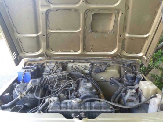 คาริเบี้ยน ปี47