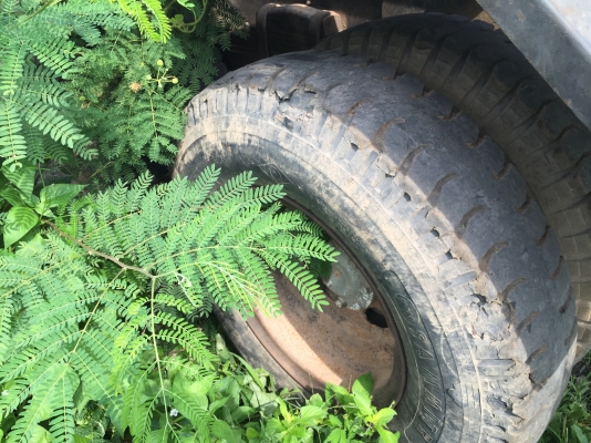 10ล้อ2เพลา195แรงFUSO FN528DTC000084..เครื่อง6D17-000084