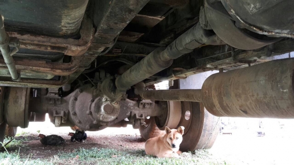 10ล้อ2เพลา240แรง..หัวคัสซี เกียร์ฟุลเลอร์...เครื่องดี คัสซีสวบ ช่วงล่างสวย