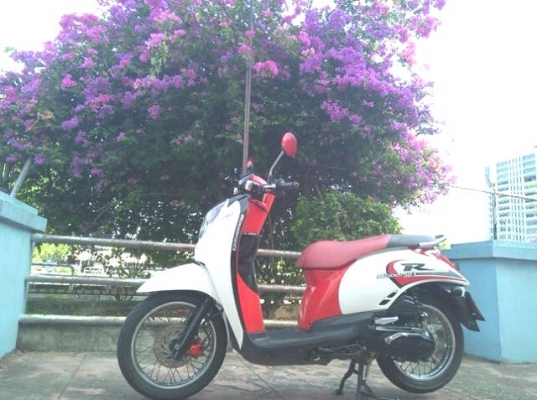 ขายแล้ว