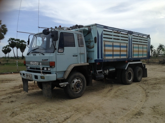 ขาย240นางฟ้าแท้โคตรตัวRครัชชีสวย ขาย240นางฟ้าแท้โคตรตัวRครัชชีสวย