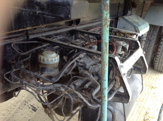 ขาย240นางฟ้าแท้โคตรตัวRครัชชีสวย ขาย240นางฟ้าแท้โคตรตัวRครัชชีสวย