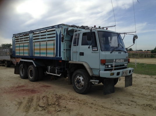 ขาย240นางฟ้าแท้โคตรตัวRครัชชีสวย