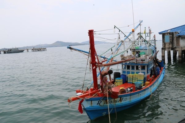 ขายเรือไดหมึก