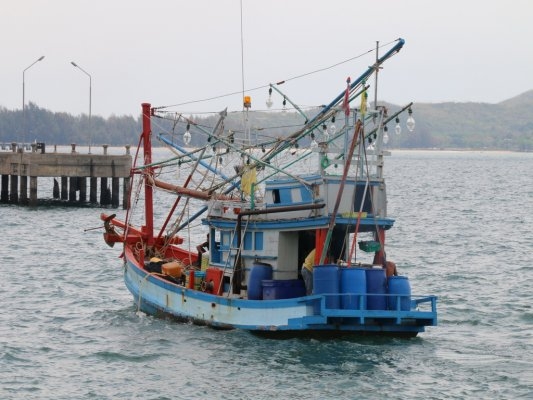 ขายเรือไดหมึก