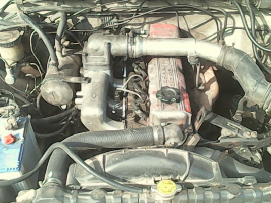 ขายบิ๊กัอ็มฝาแดงถูกๆคับ