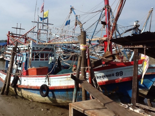 ขายเรือพร้อมใช้ ออกหากินได้เลย ราคานี้หายากด่วนๆๆ