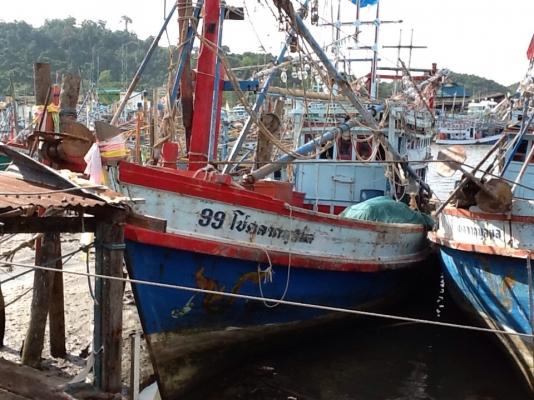 ขายเรือพร้อมใช้ ออกหากินได้เลย ราคานี้หายากด่วนๆๆ