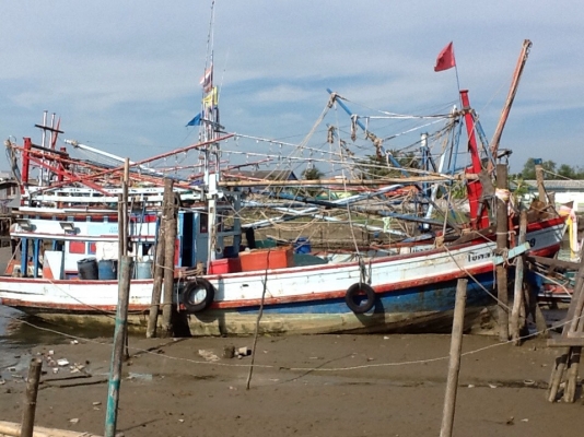 ขายเรือพร้อมใช้ ออกหากินได้เลย ราคานี้หายากด่วนๆๆ