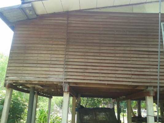 ขายบ้านไม้เก่า ไม้แดง ไม้เต็ง