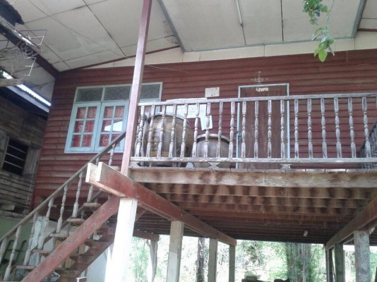 ขายบ้านไม้เก่า ไม้แดง ไม้เต็ง