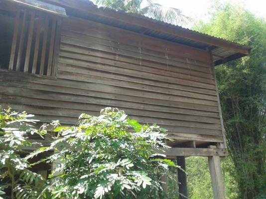 ขายบ้านไม้เก่า ไม้แดง ไม้เต็ง