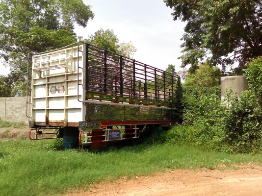 ขายกระบะไม้ คอกเหล็กแป๊บน้ำ