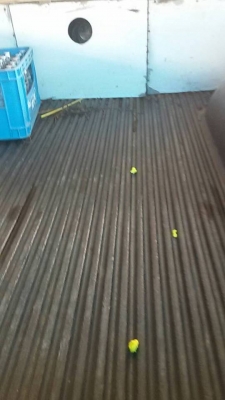 ขายด่วน!!! 6 ล้อ KS ขายด่วน!!! 6 ล้อ KS