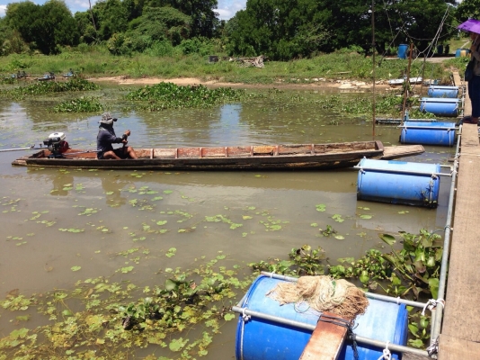 ขายเรือไม้เก่า12ศอก