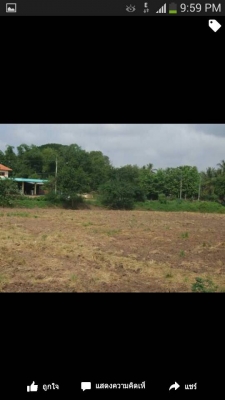 ที่ดินใกล้ถนนหมายเลข12สวยๆ ที่ดินใกล้ถนนหมายเลข12สวยๆ