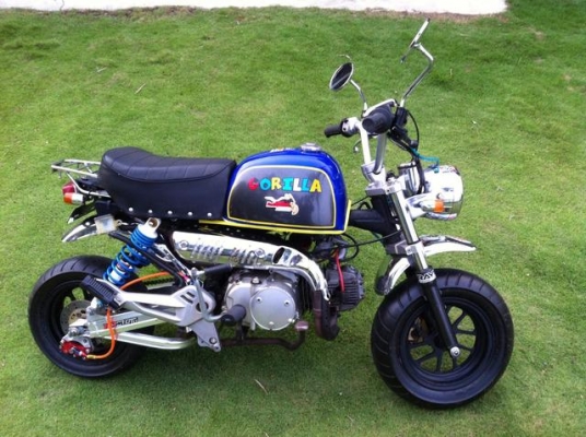 กอลิล่า ชุดแต่งแน่นๆ