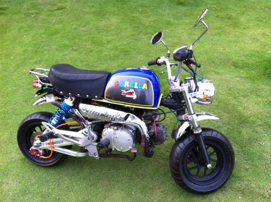 กอลิล่า ชุดแต่งแน่นๆ