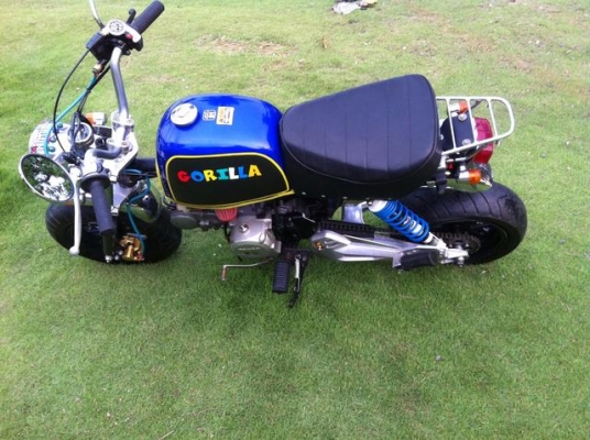 กอลิล่า ชุดแต่งแน่นๆ