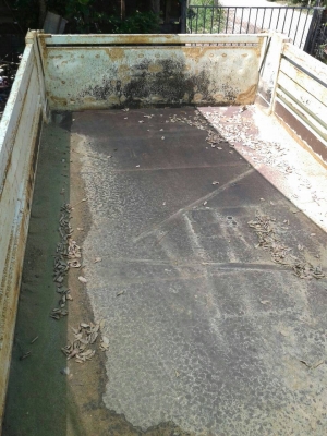 หกล้อ มิตรซู FUSO165แรง ดั้มสามมิตรสภาพดีเดิมพร้อมใช้งาน ทะเบียนพร้อมโอน