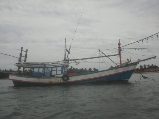 ขายเรือไดหมึก