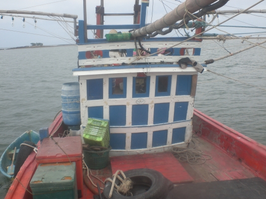 ขายเรือไดหมึก