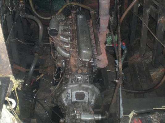 ขายเรือไดหมึก