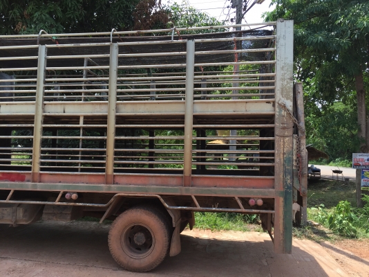 FC2wเครื่อง120แรงยาว5.5ม FC2wเครื่อง120แรงยาว5.5ม