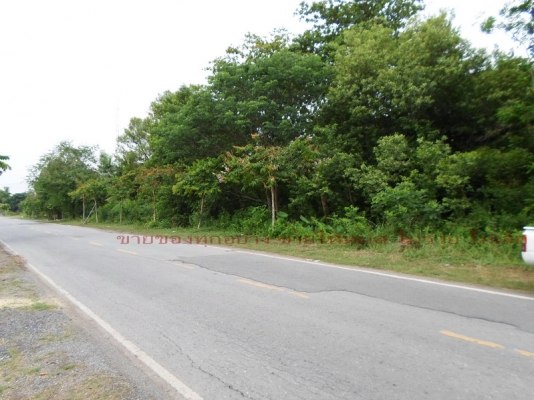 ที่เปล่าติดถนนคลอง10 คู้ซ้าย  หนองจอก กทม.