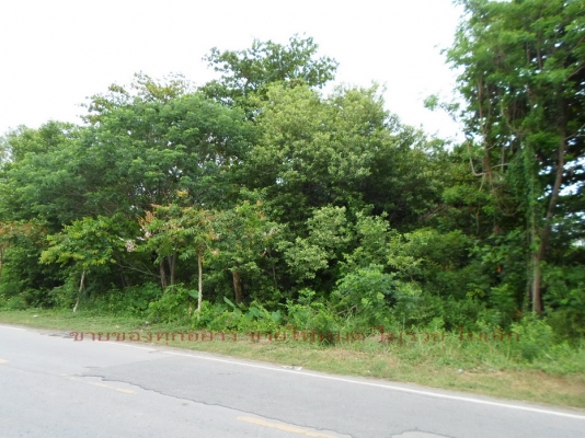 ที่เปล่าติดถนนคลอง10 คู้ซ้าย  หนองจอก กทม.