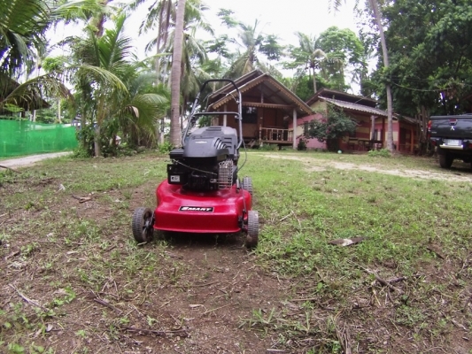 เครื่อตัดหญ้าแบบเดินตามขับเคลื่อนด้วยตัวเอง เครื่อตัดหญ้าแบบเดินตามขับเคลื่อนด้วยตัวเอง