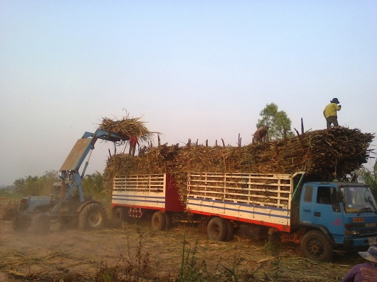 ขายด่วนตามสภาพ ISUZU ROCKY 175 แรงม้า เทอร์โบ อินเตอร์คูลเลอร์ เกี่ยรฟูลเลอร์ EATON