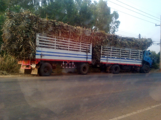 ขายด่วนตามสภาพ