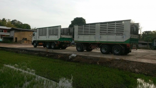 HINO344 ซีรี่500 ตัวระบบเบรกแห้ง รถบ้านมือเดียวใช้น้อย สภาพนางฟ้า9y