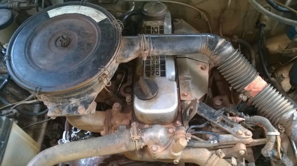 ขายรถกระบะ NISSAN ตอนเดียว เครื่อง TD25 ฝาขาว คัสซีสวยตลอดเส้น ทะเบียนพร้อมโอนครับ ขายรถกระบะ NISSAN ตอนเดียว เครื่อง TD25 ฝาขาว คัสซีสวยตลอดเส้น ทะเบียนพร้อมโอนครับ