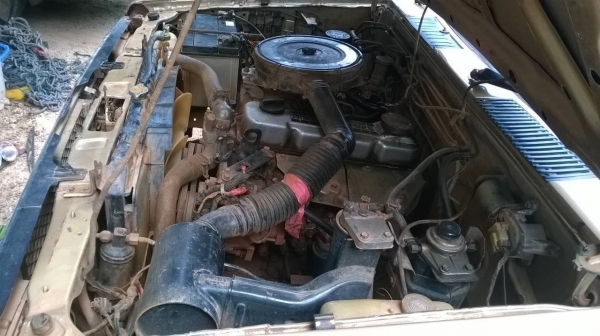 ขายรถกระบะ NISSAN ตอนเดียว เครื่อง TD25 ฝาขาว คัสซีสวยตลอดเส้น ทะเบียนพร้อมโอนครับ ขายรถกระบะ NISSAN ตอนเดียว เครื่อง TD25 ฝาขาว คัสซีสวยตลอดเส้น ทะเบียนพร้อมโอนครับ